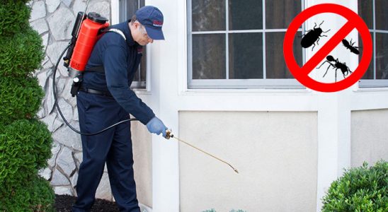 Ünye Gümüşkurt İlaçlama böcek ilaçlama ve haşere kontrolü — ilaclama-tr.com